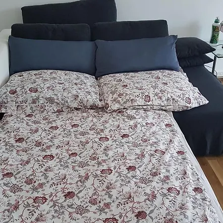 Apartmán Traumwohnung In Maerchenstadt Heidelberg