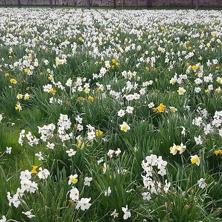 Traumwohnung In Maerchenstadt